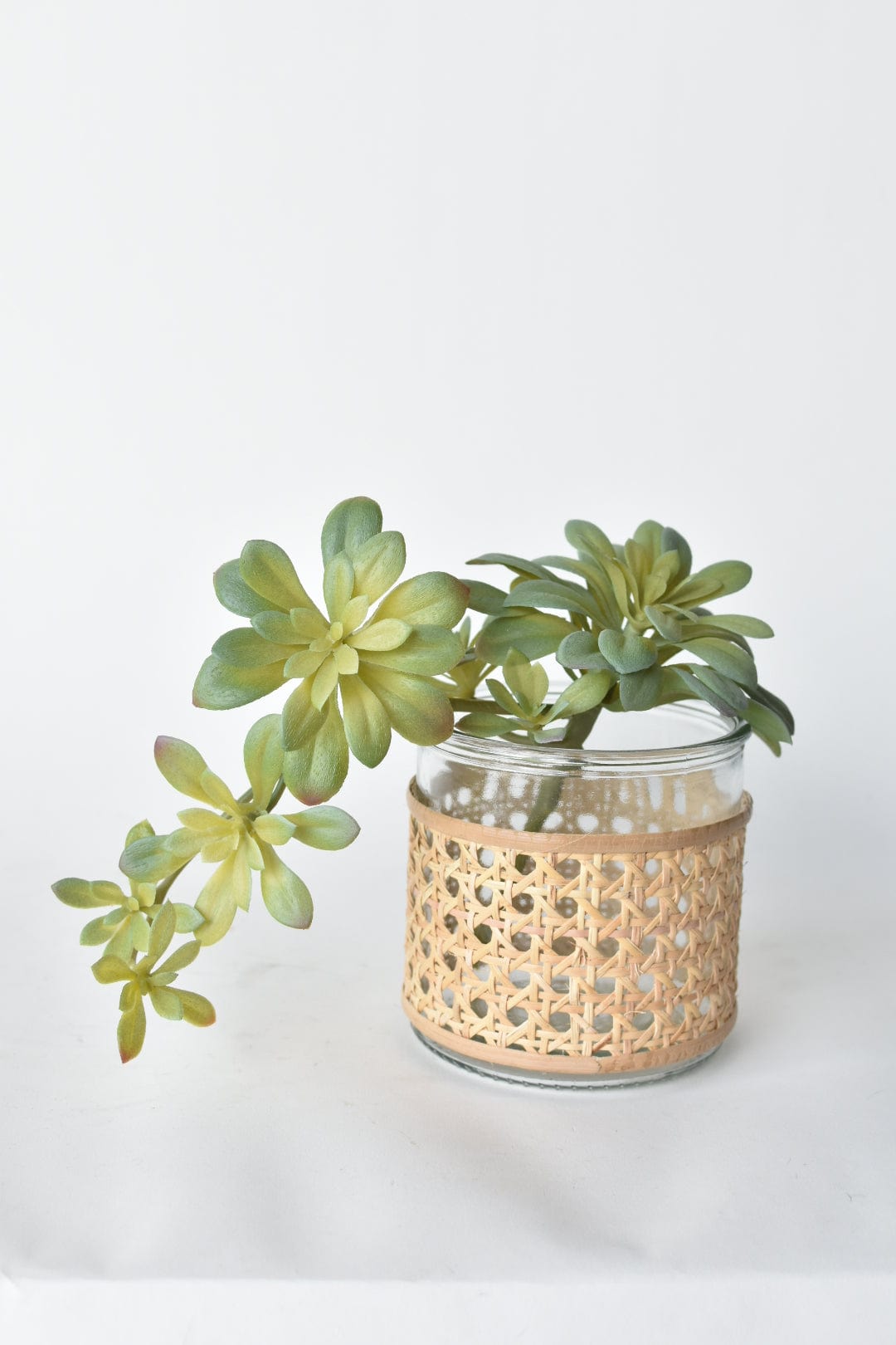 11.5" Faux Trailing Soft Aeonium Spray Stem