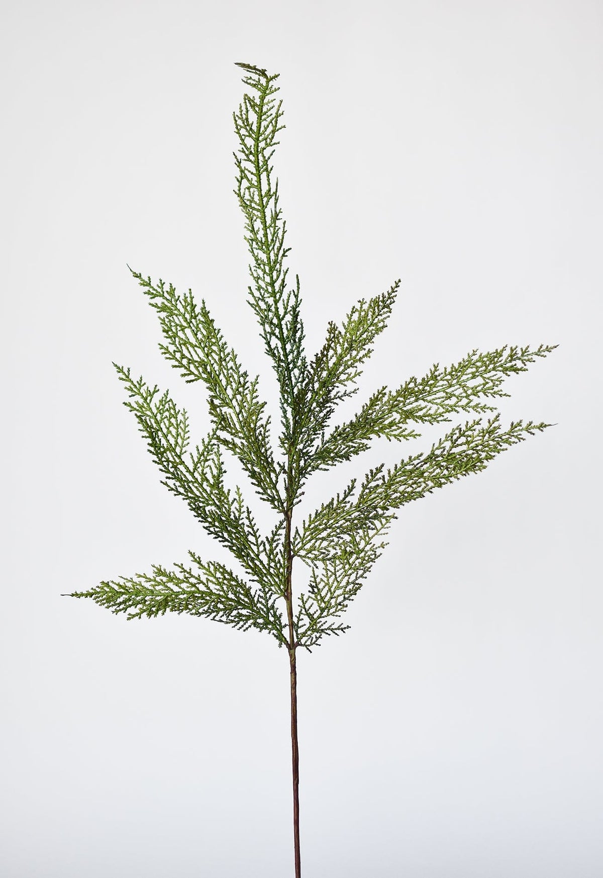Artificial plant branch on a white background
