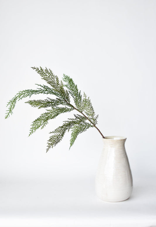 White vase with a green pine bows  on a white background