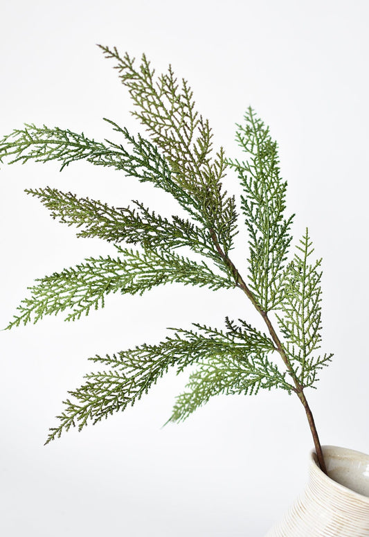 Green pine bows  in a white vase on a light gray background