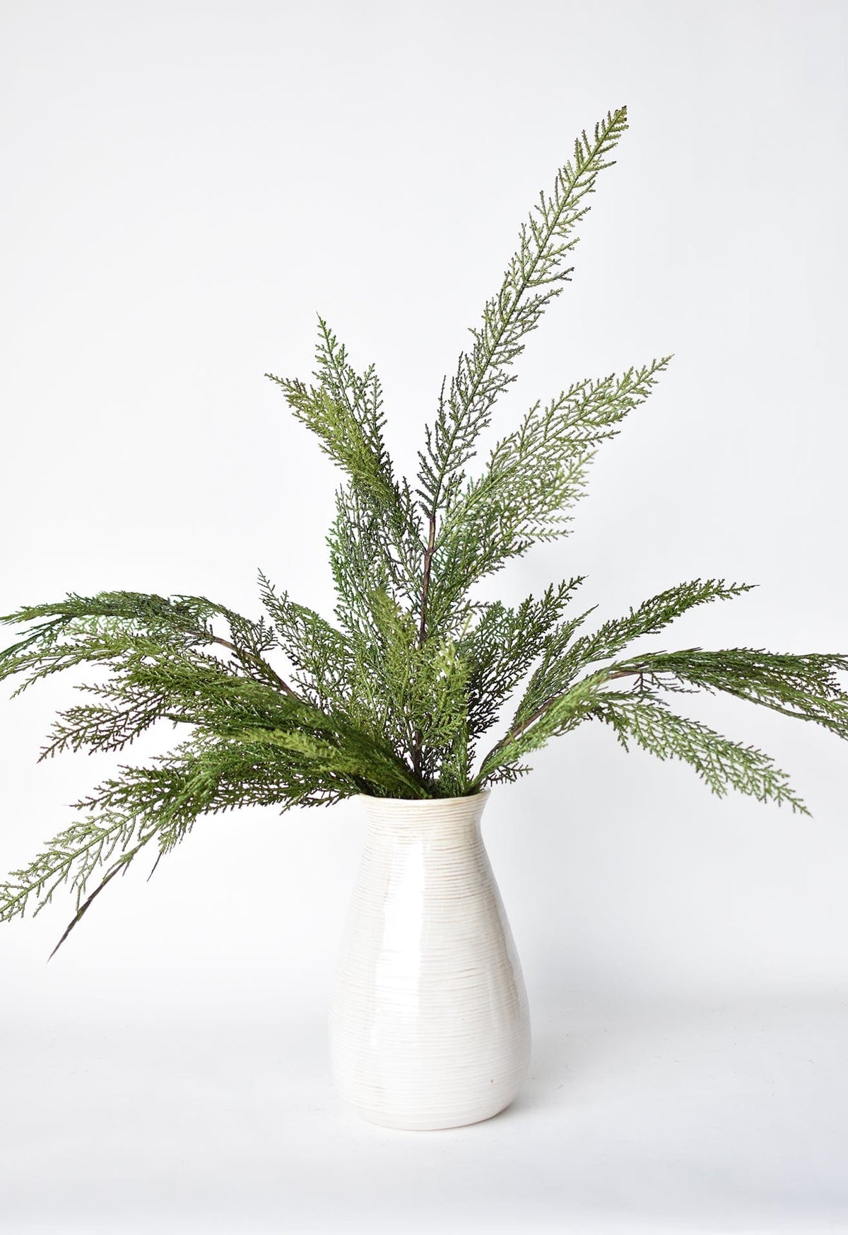 Green  pine bows in a white vase on a light gray background