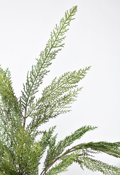 Close-up of green artificial pine bows branches on a white background