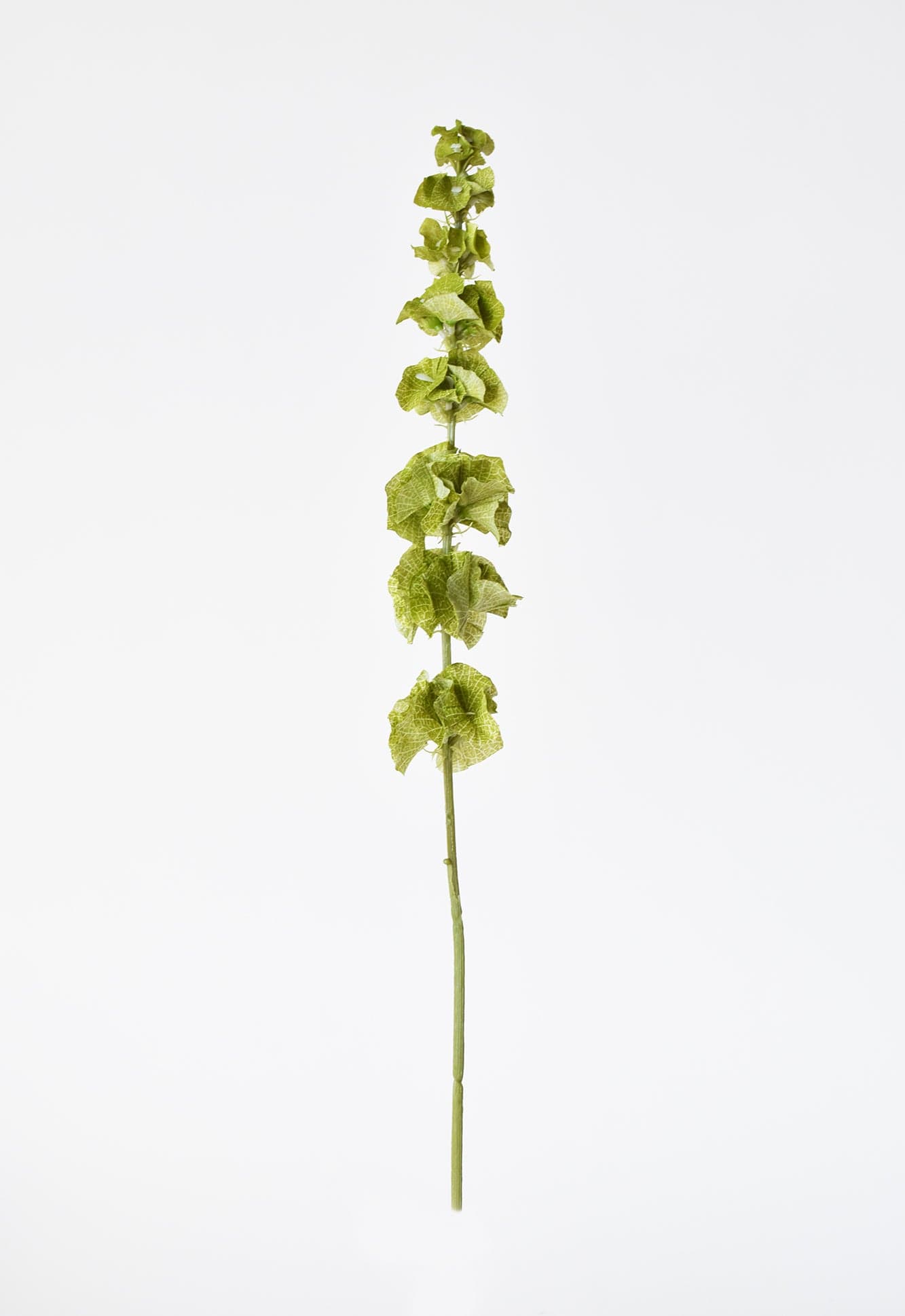 29" Faux Bells of Ireland