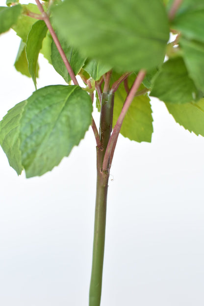 17" Faux Greenery Bush
