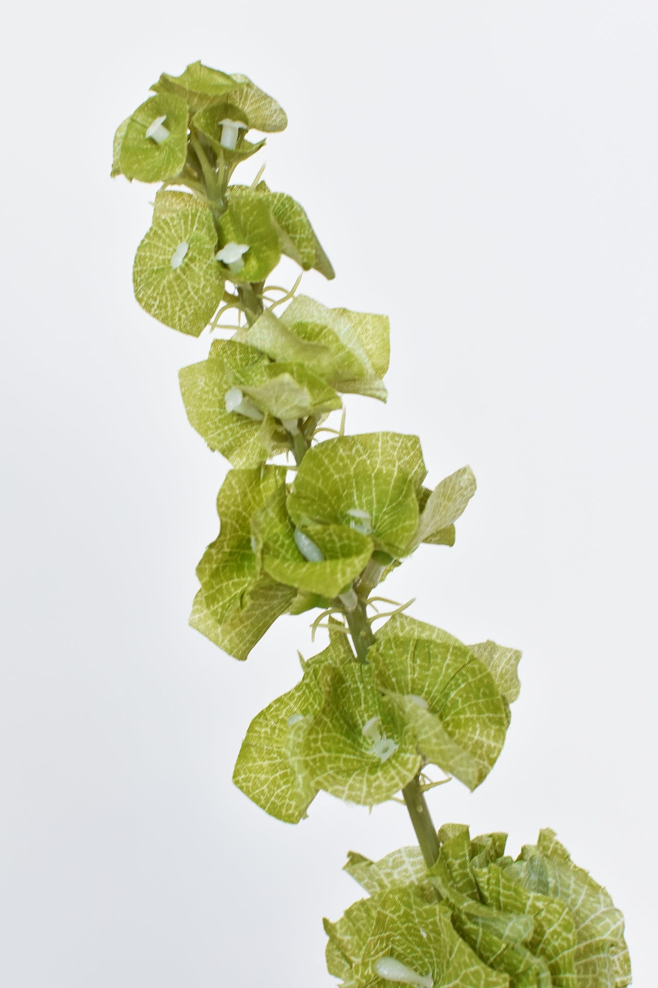 29" Faux Bells of Ireland