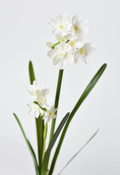 Faux Paperwhite Stem with Bulb – 17.5" Realistic Faux Floral for Holiday & Winter Decor