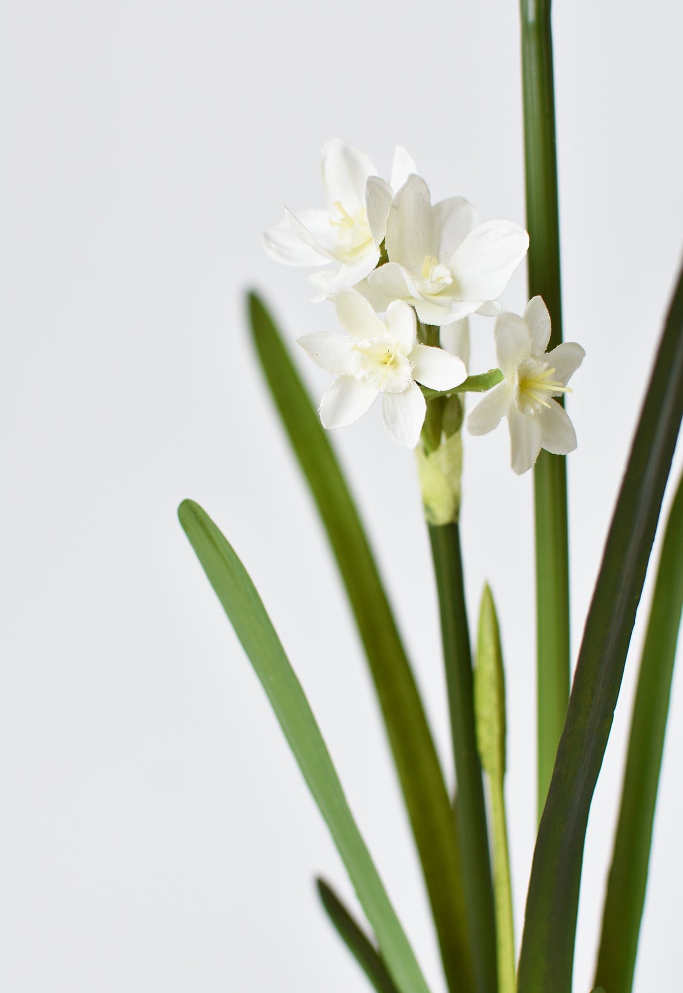 Faux Paperwhite Stem with Bulb – 17.5" Realistic Faux Floral for Holiday & Winter Decor