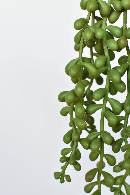 13" Faux String of Pearl Succulent Stem