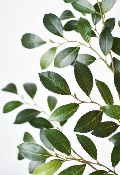 26" Faux Ruscus Leaf Stem