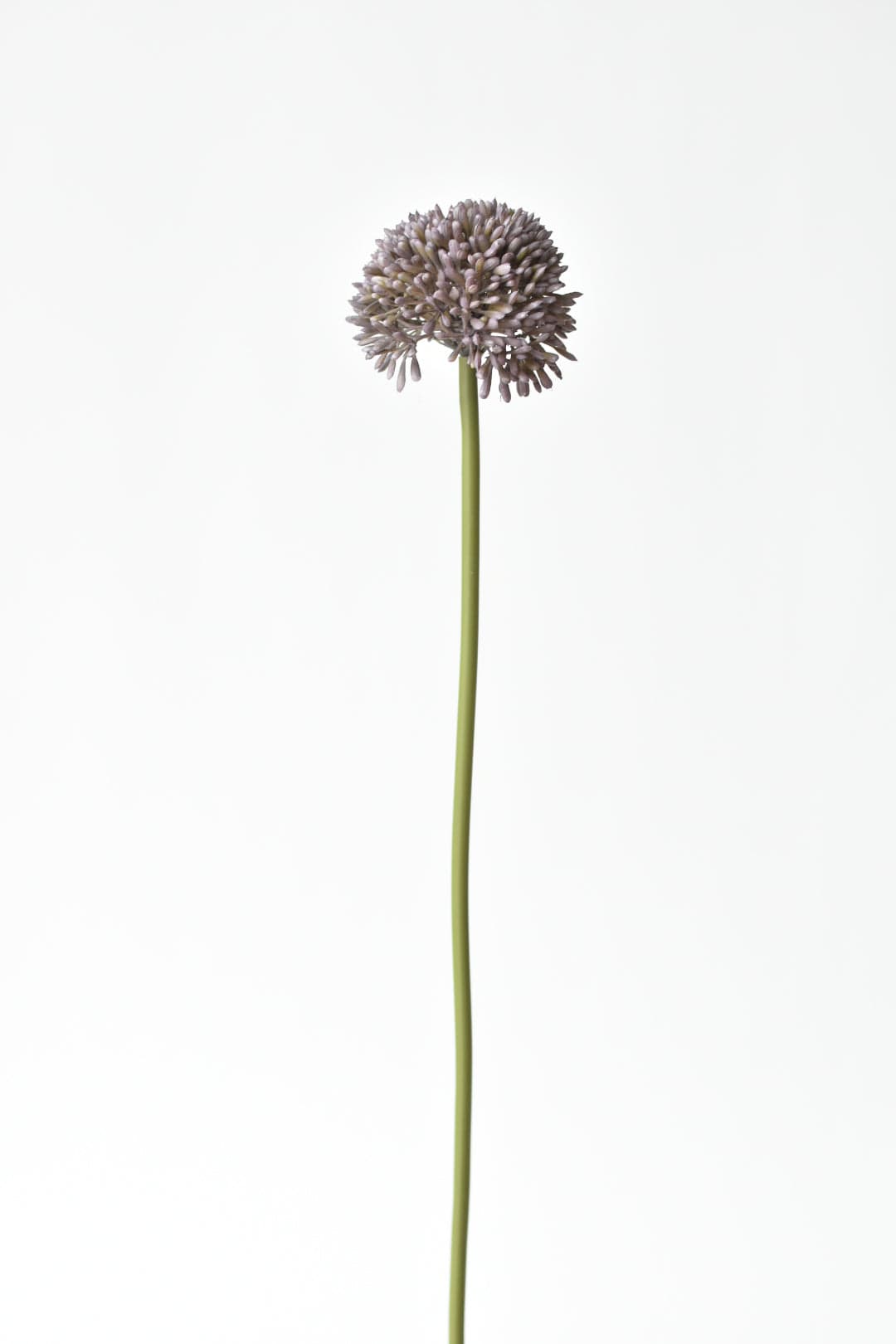 17.5" Faux Purple Allium Spray Stem