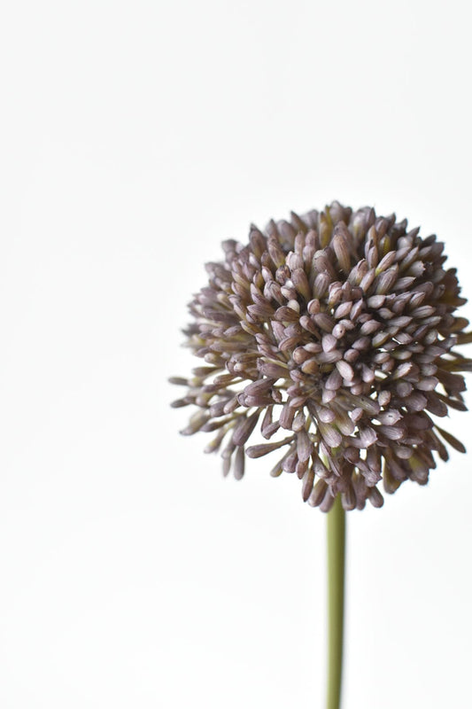 17.5" Faux Purple Allium Spray Stem