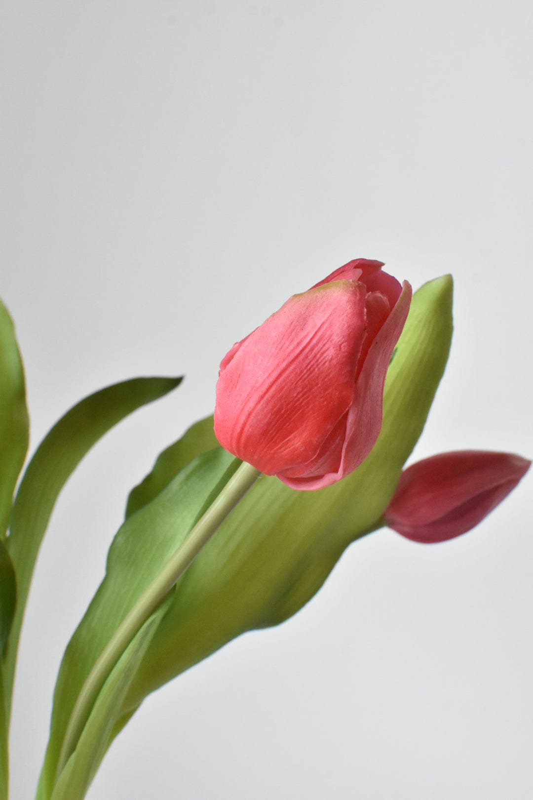 Faux Real Touch Dark Pink Tulip Stem Bundle 11.75 Inch - Artificial Tulips Set of 7