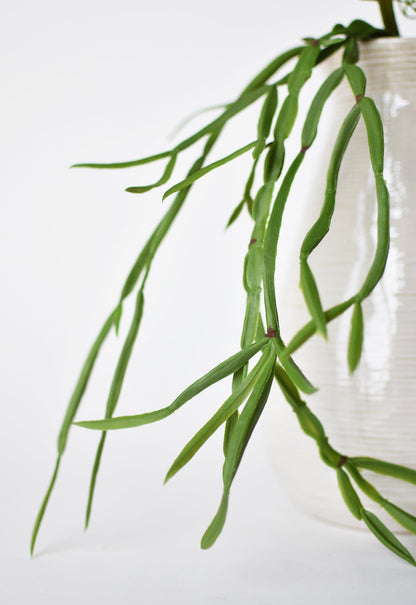 23" Faux Hanging Pencil Cactus Succulent Bush
