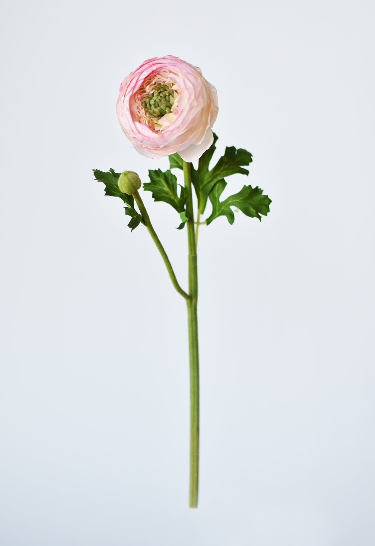 13" Faux Blush Ranunculus Stem