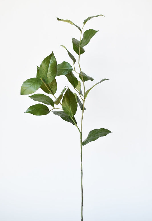 36" Faux Lemon Leaf Branch Stem