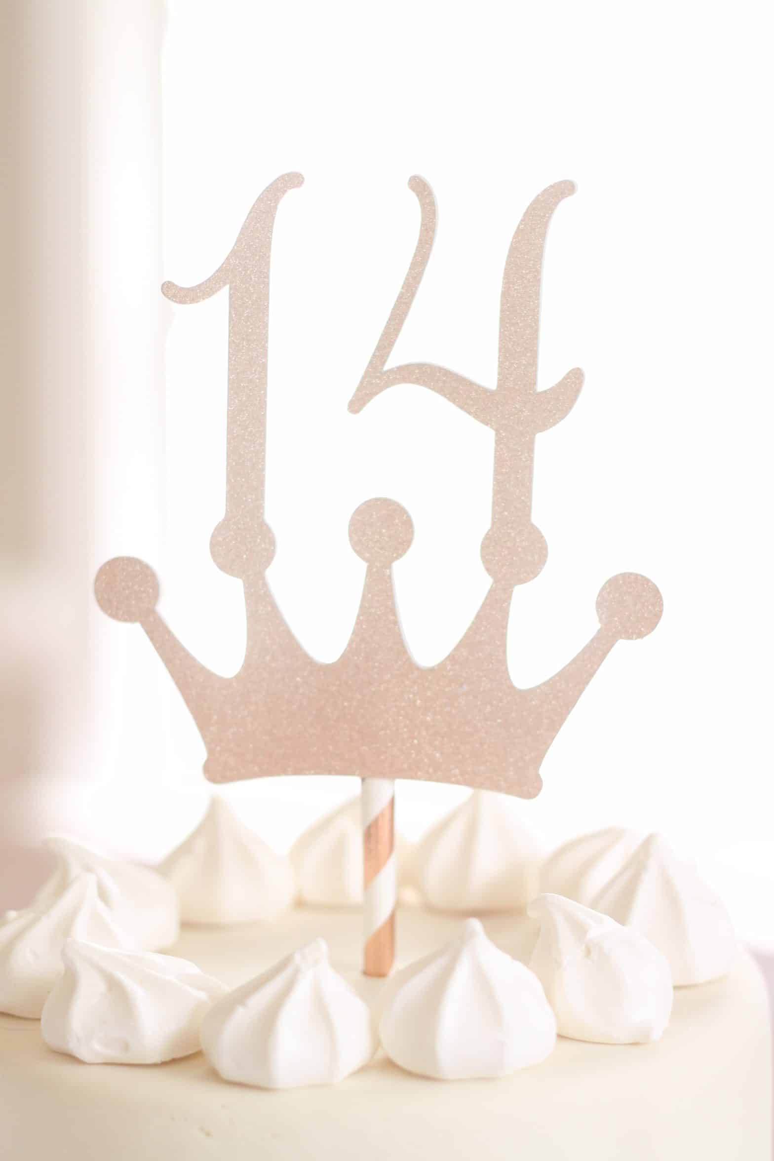 14th number crown