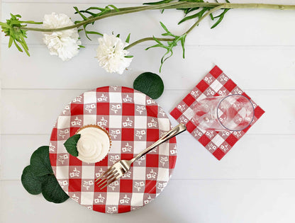 Red and White Gingham Plates and Napkins for Baby Q or Family Reunion