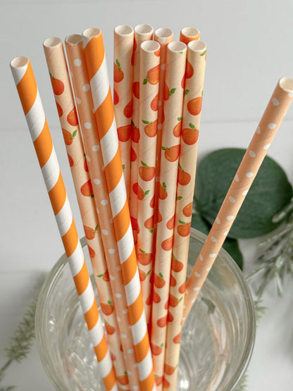 Orange & Peach Paper Straws - Citrus Cocktail Stirrers Set of 12