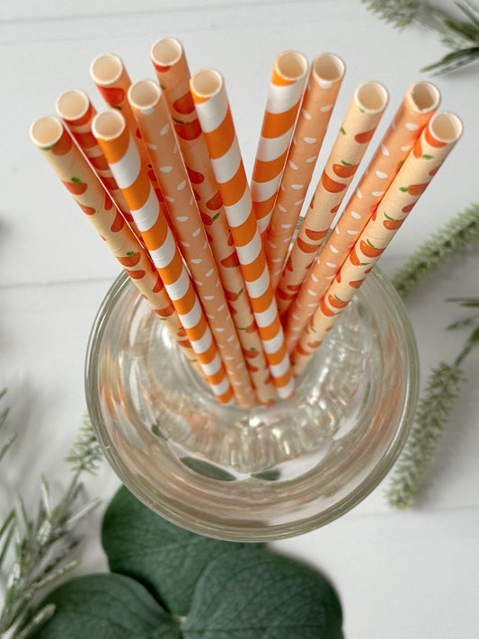 Orange & Peach Paper Straws - Citrus Cocktail Stirrers Set of 12