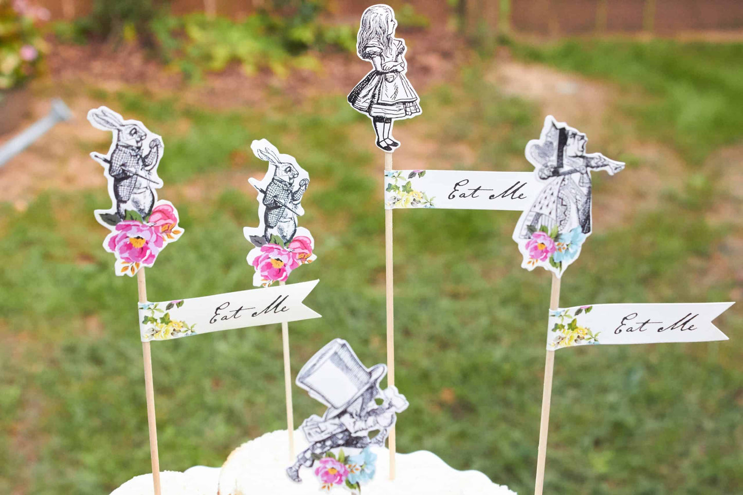 Alice in Wonderland Party & Charcuterie Picks