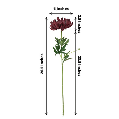 Measurement chart of a single burgundy chrysanthemum flower with dimensions labeled on a white background