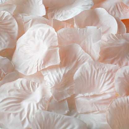 blush Rose petals for a petals and prosecco bridal shower or bachelorette party
