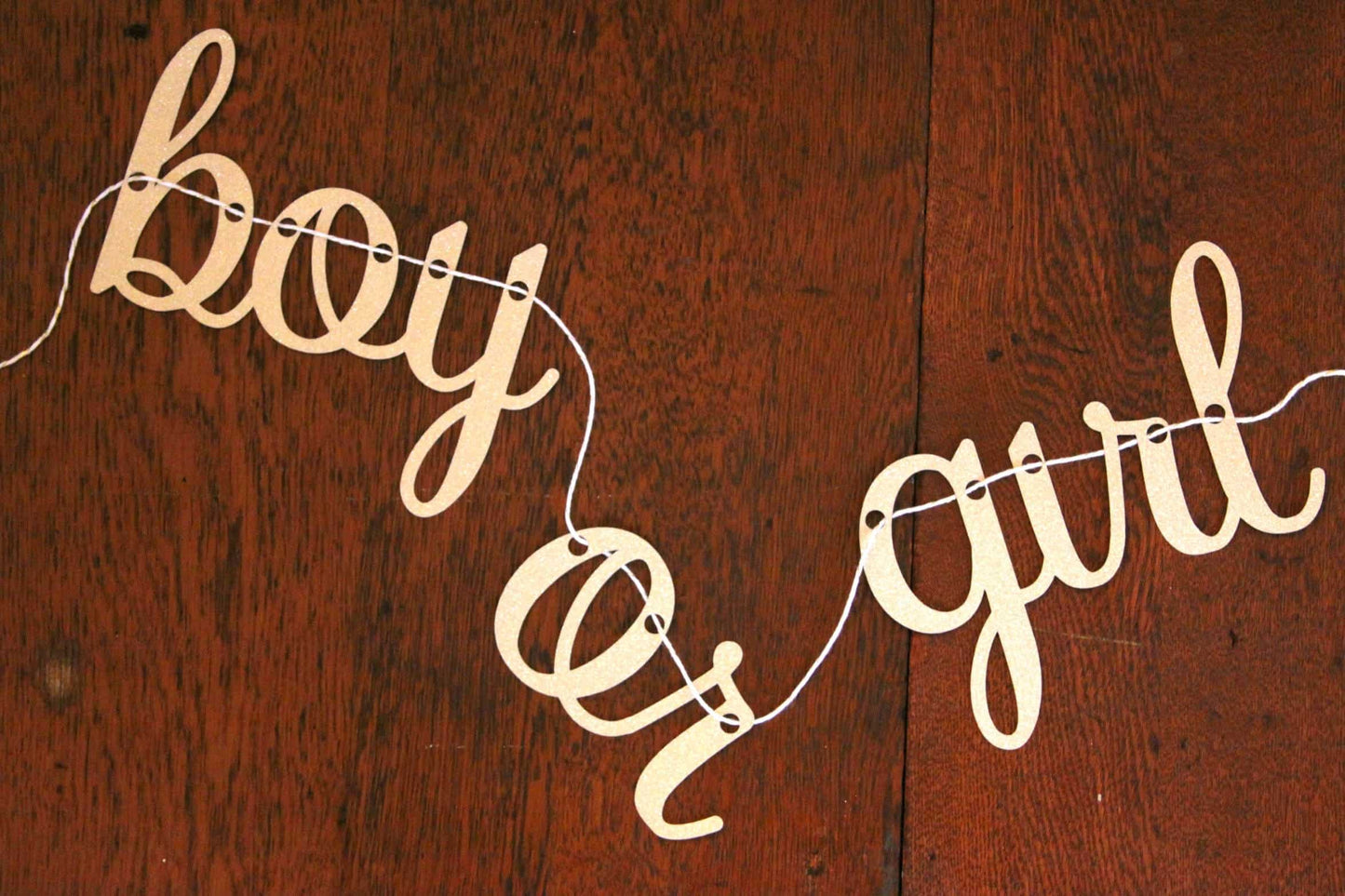 Boy or Girl Banner