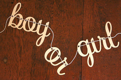 Boy or Girl Banner