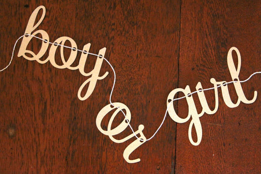 Boy or Girl Banner