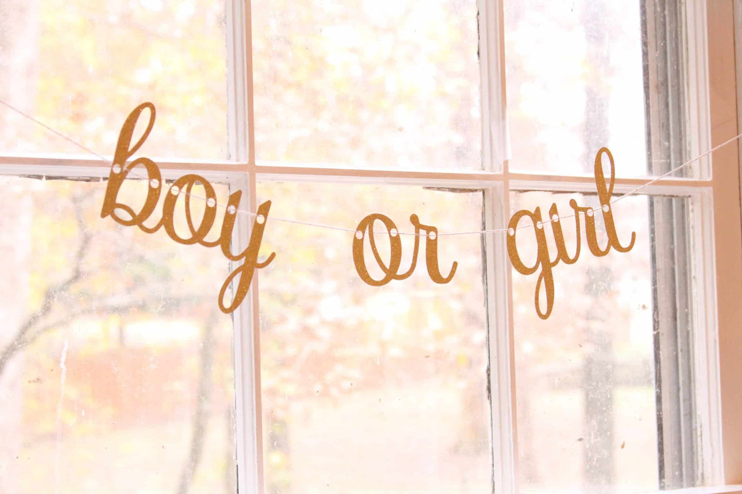 Boy or Girl Banner
