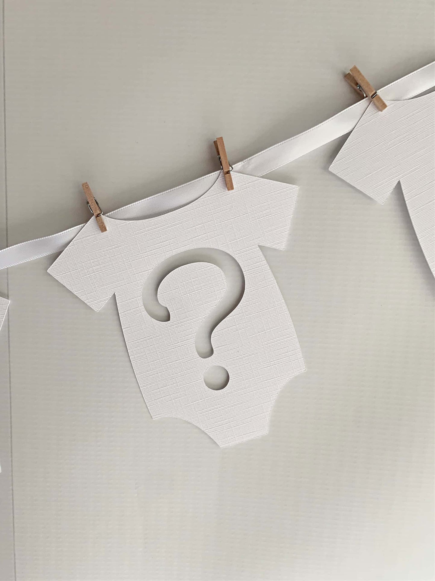 White Gender Reveal Onesie Banner
