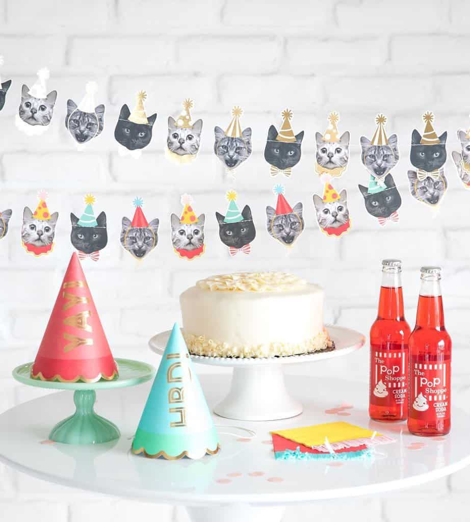 Cat Happy Birthday Banner