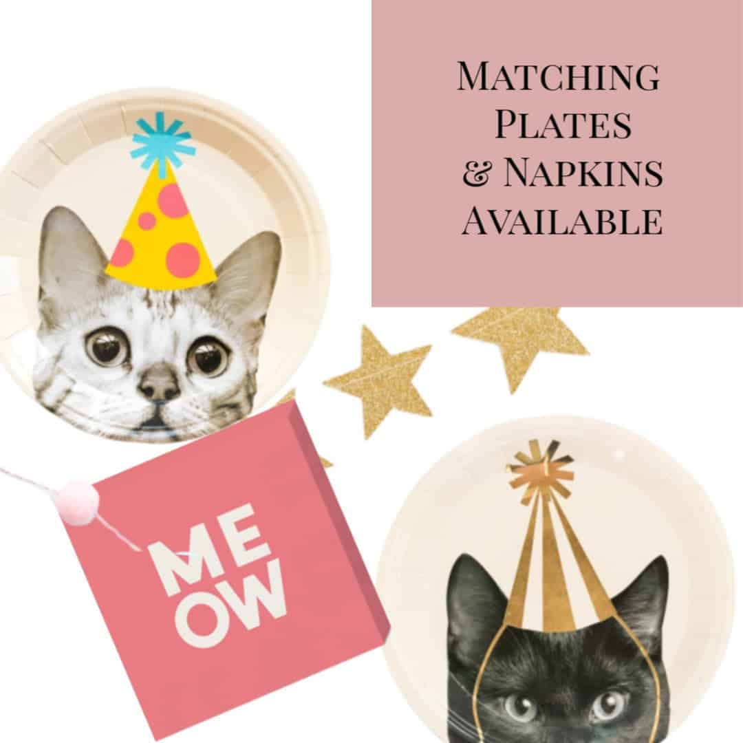 cat plates and napkins for a birthday or New Year's Eve party