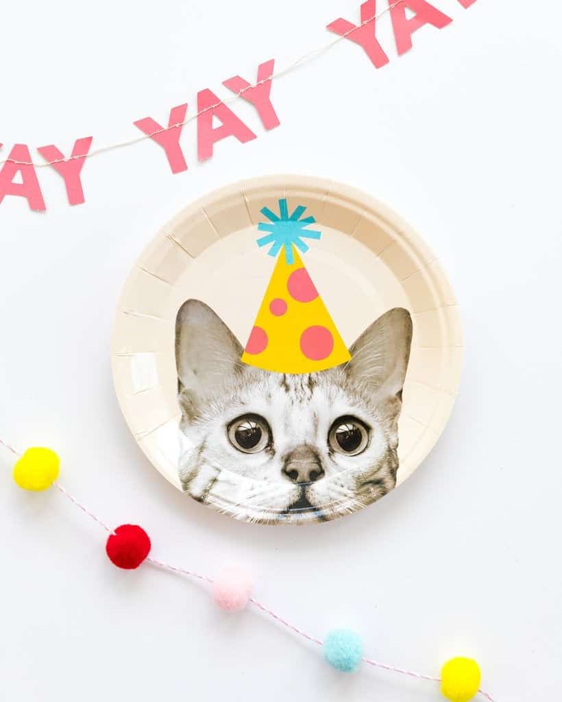 cake birthday plates