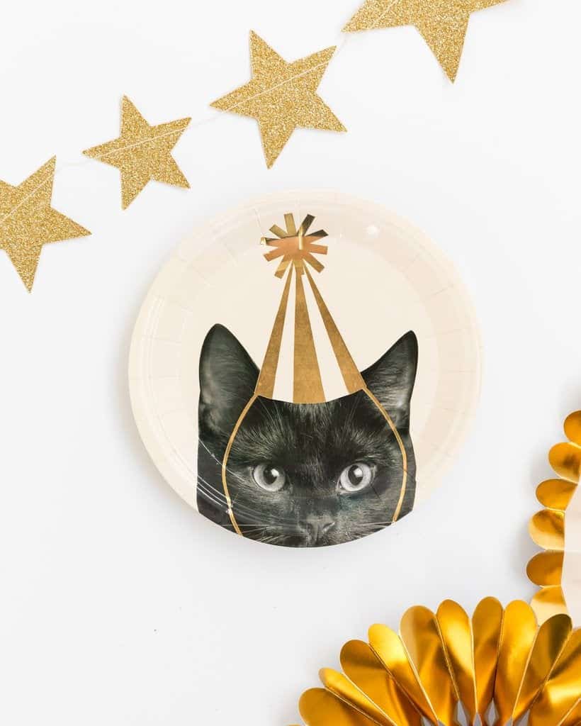 Cat Plates & Napkins - Birthday