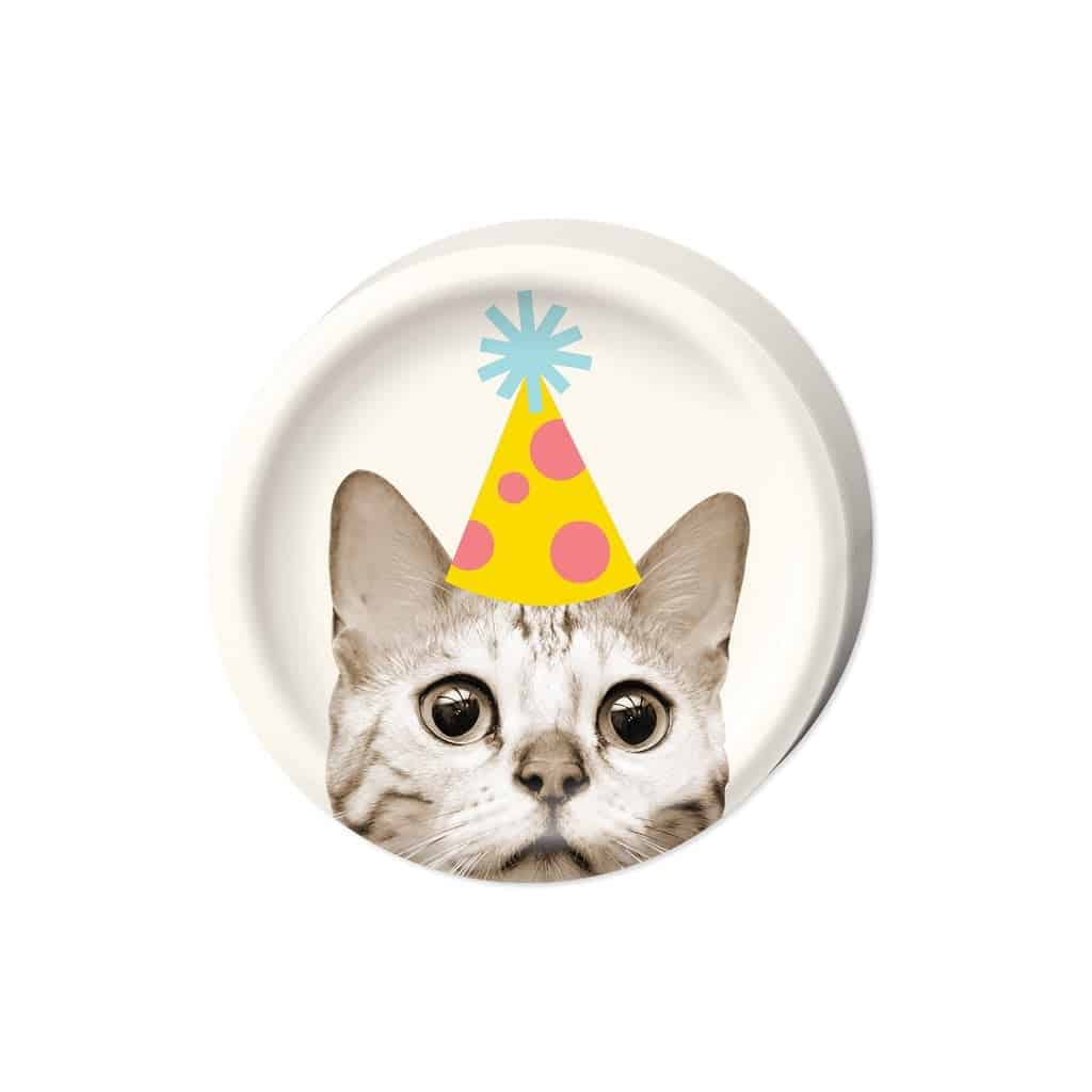 cake birthday plates