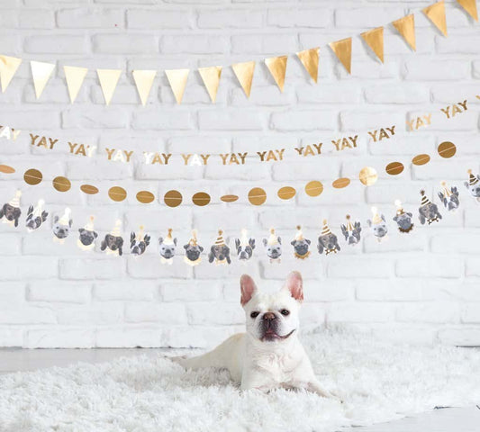 Dog Happy Birthday Banner - high end party decor in gold foil for your fur baby