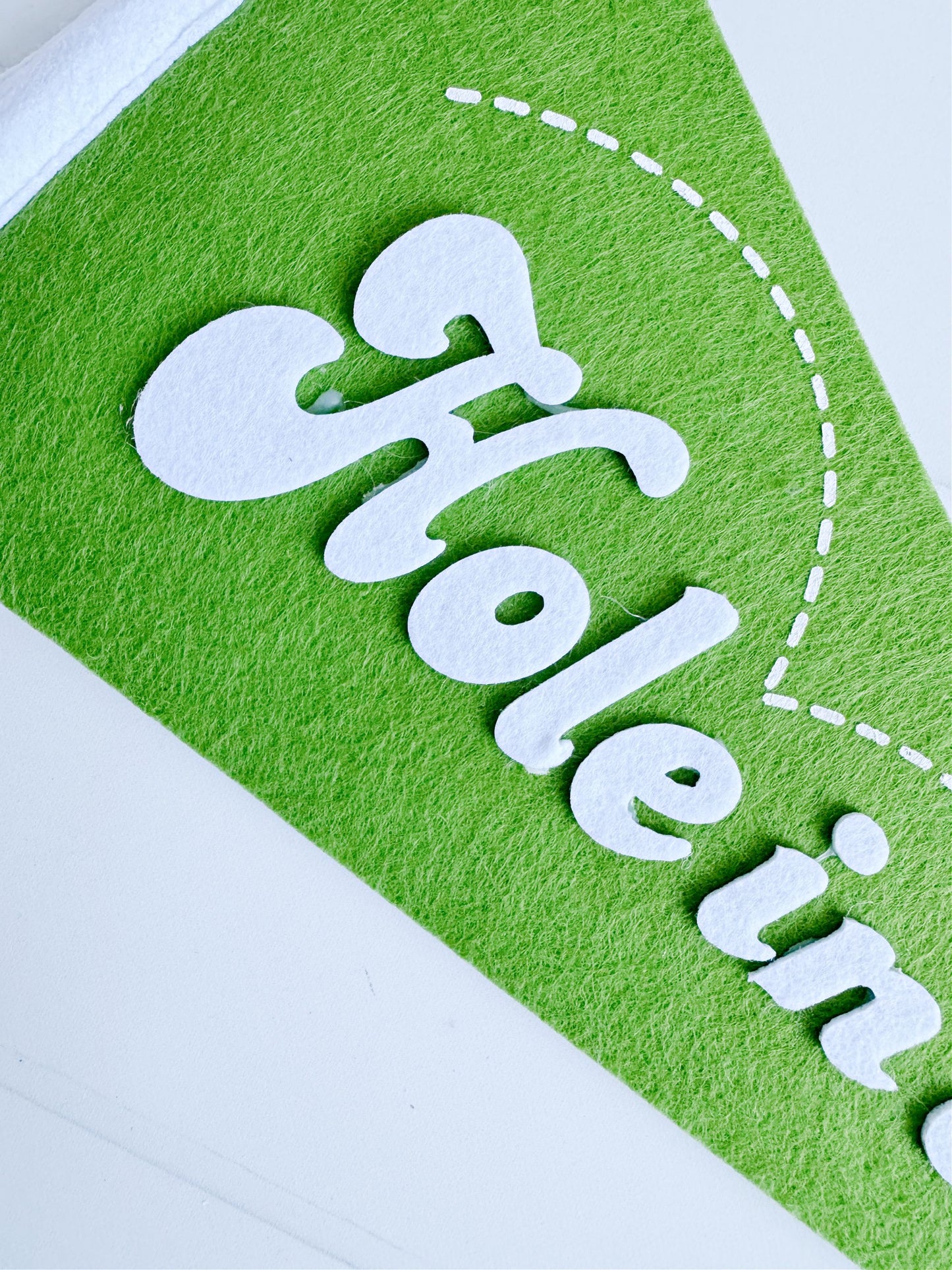 Golf Felt Pennant Banner - Hole in One Party Decoration