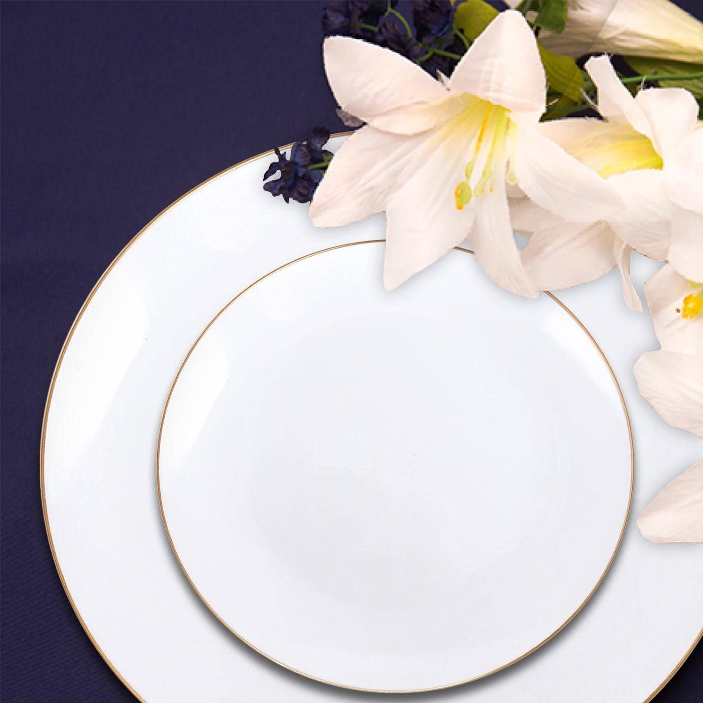 White Gold Rim Plastic Dinner Plates 10.25" - Set of 10 Premium Party Plates