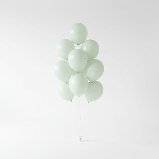 High-end party shop white background