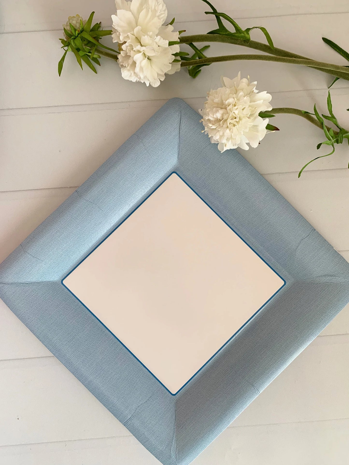 Baby Blue Paper Dinner Plates