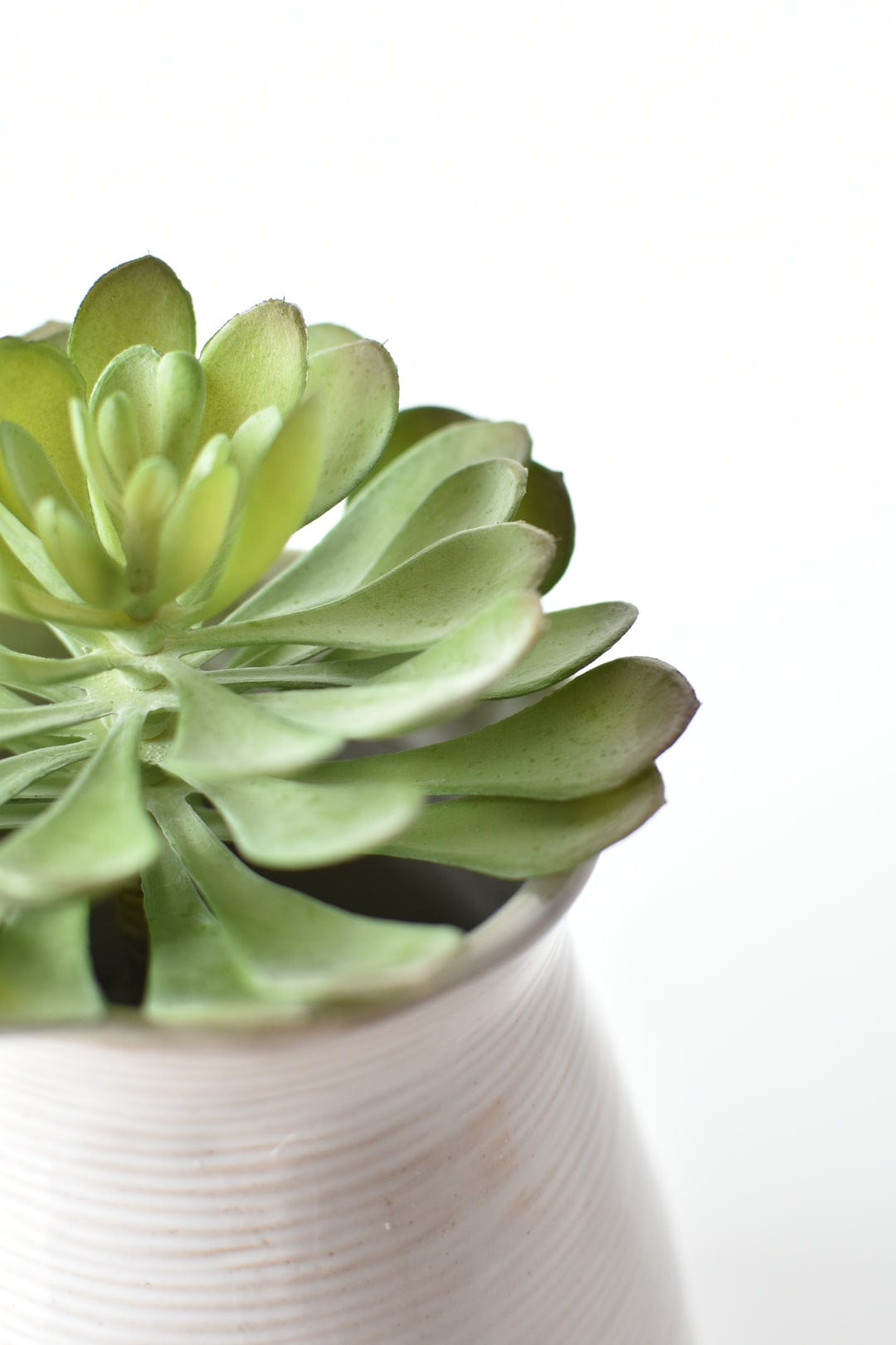 6" Faux Soft Aeonium Succulent Pick