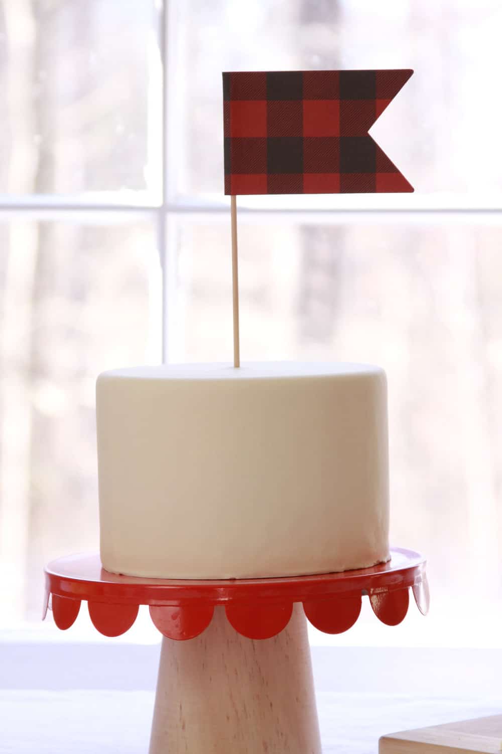 camping party or wild one first birthday party