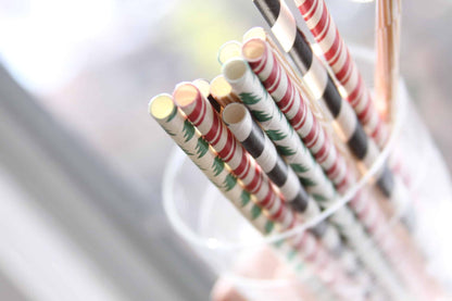 Lumberjack Paper Straws