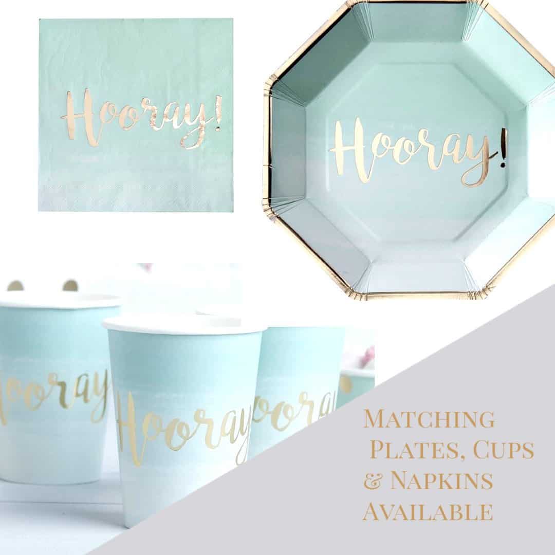 Mint and Gold Paper Plates, Napkins and Cups
