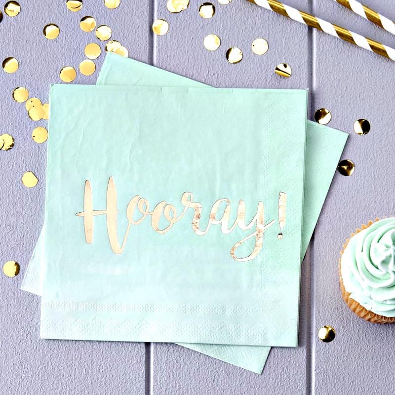 Mint and Gold Paper Plates, Napkins and Cups