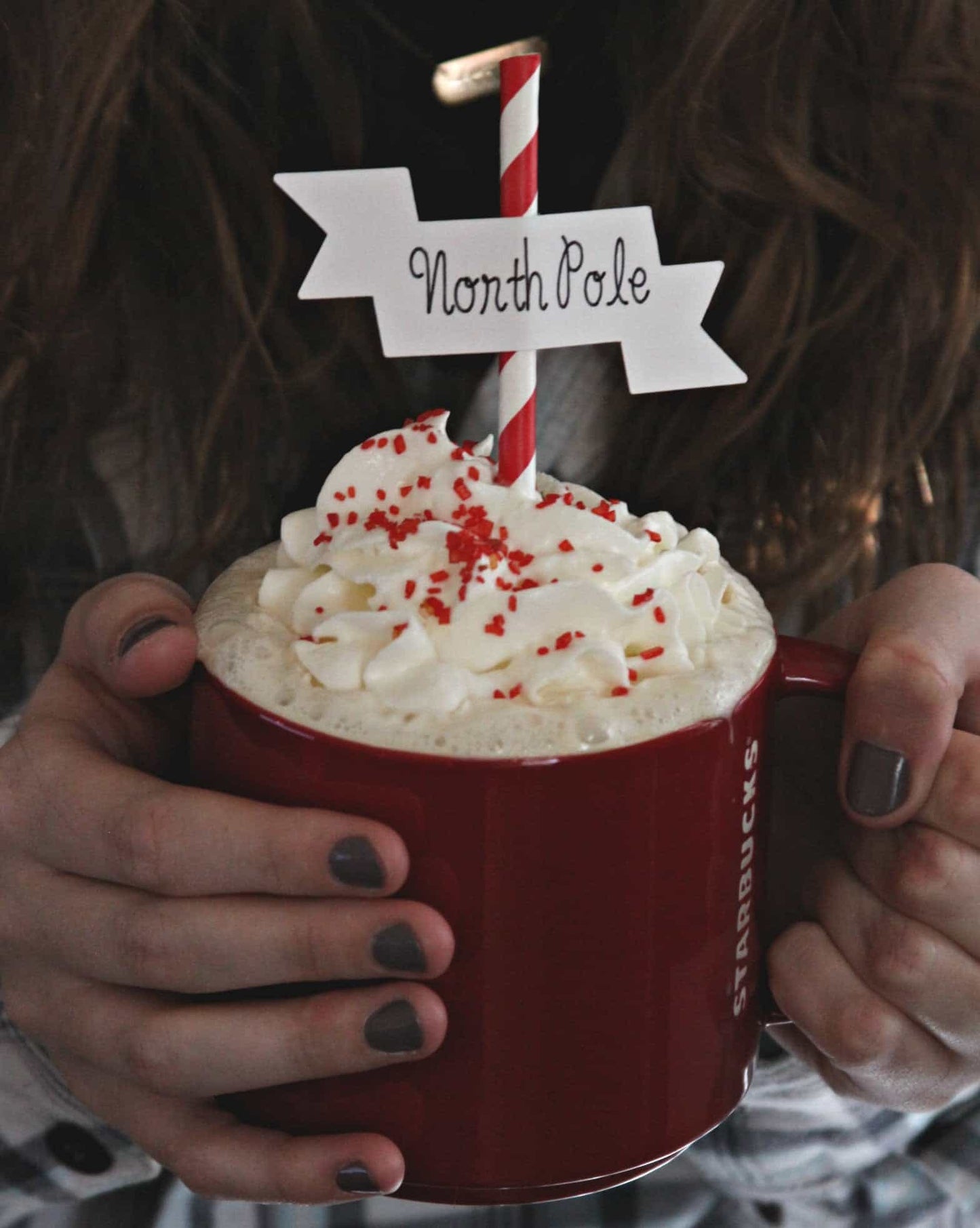 North Pole Cupcake Toppers & Straws