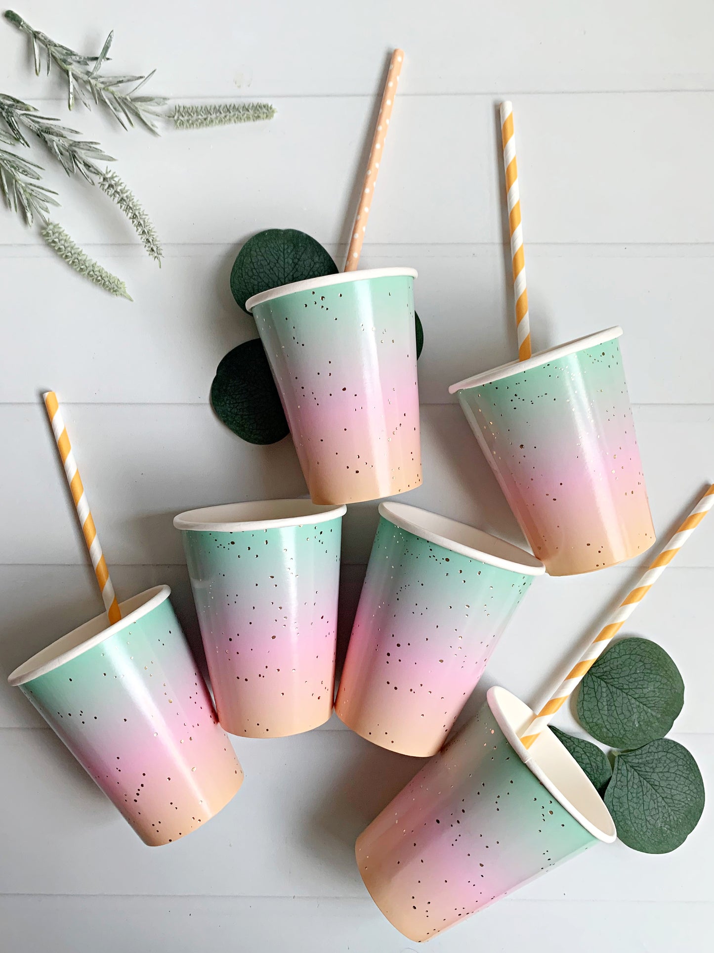 Pastel Rainbow Ombre Paper Cups (Set of 8)