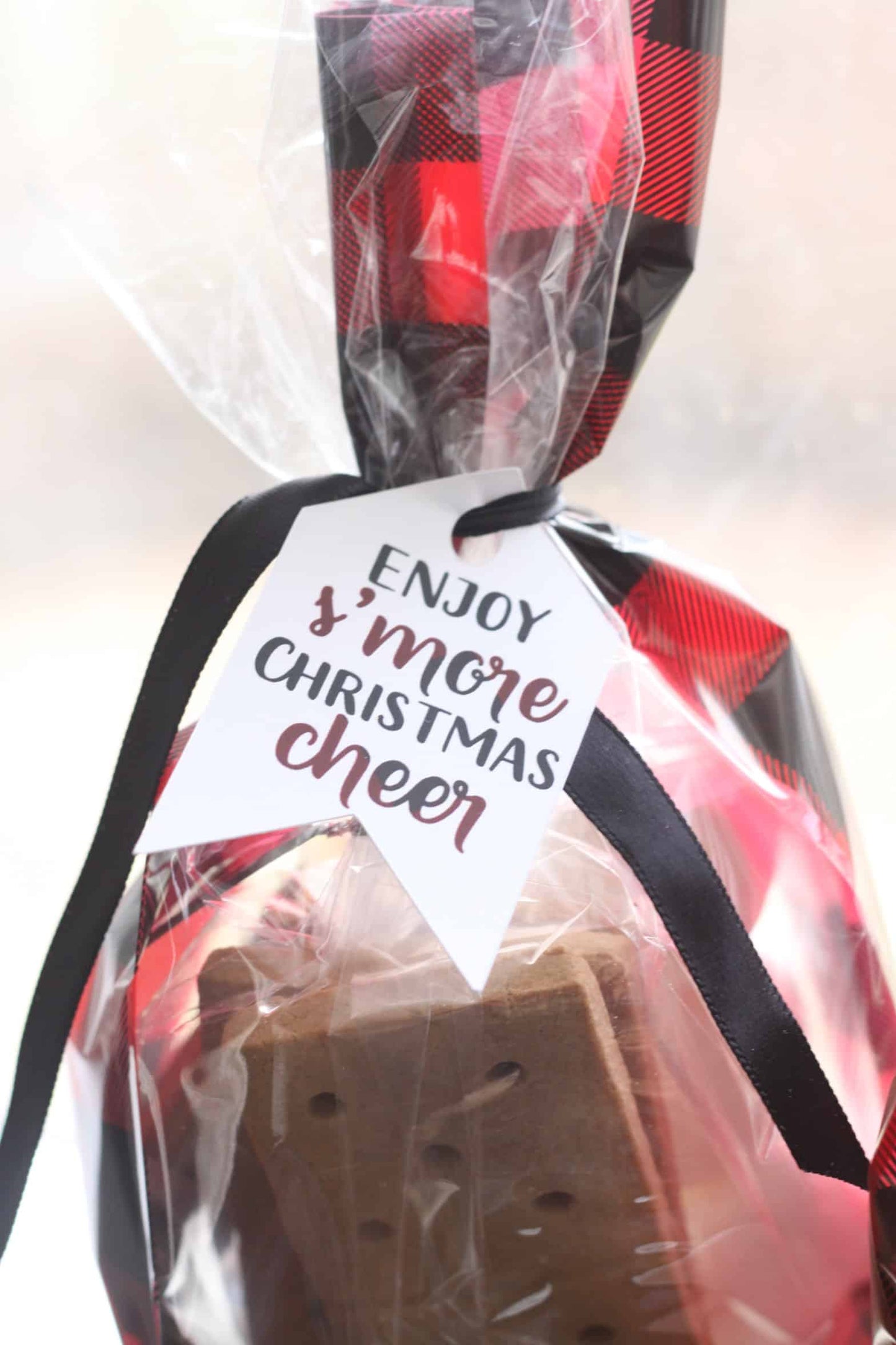 S'mores Kits in Buffalo Plaid