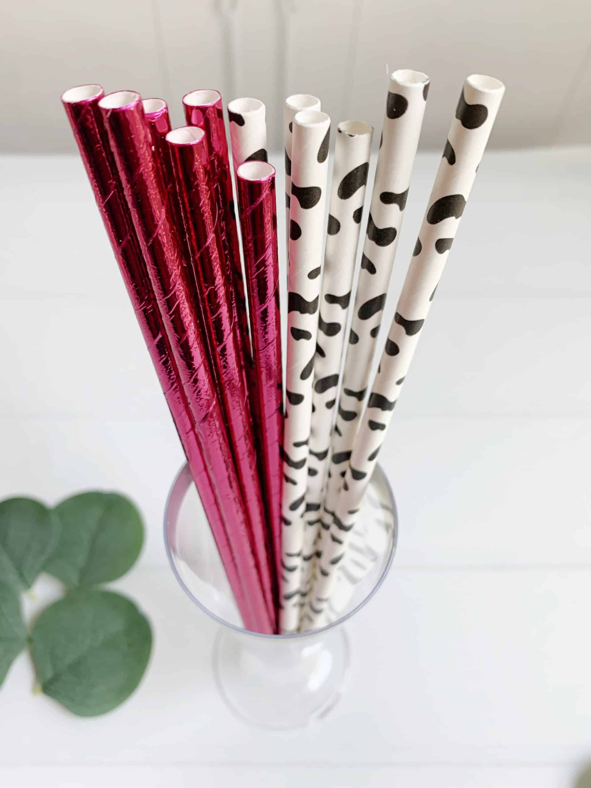 These Space Cowgirls cow print and hot pink foil paper party straws are the perfect finishing touch to any bachelorette party, girl's night out, or space-themed celebration. With their bold design and stylish foil finish, these straws will add a touch of fun and sophistication to your party drinks. Whether you're serving up cocktails or mocktails, these straws will make every sip feel like a celebration. And with their biodegradable construction, you can feel good about using them knowing they're eco-friend